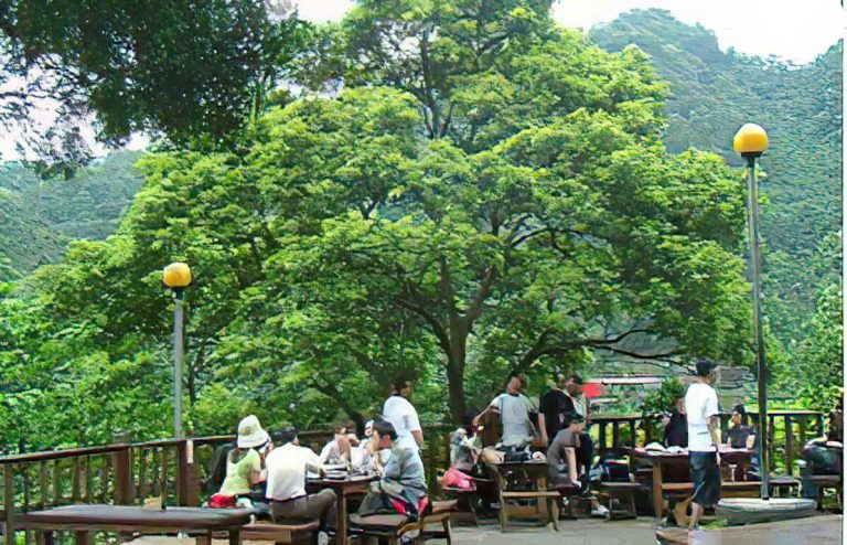 桂竹園餐廳