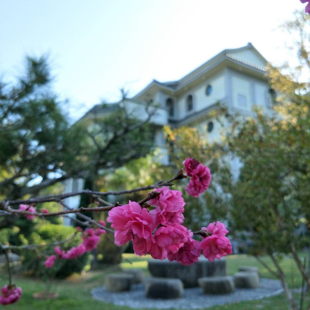 國旅補助加碼再送好禮！碧山廬禪的民宿續住送在地蜜餞