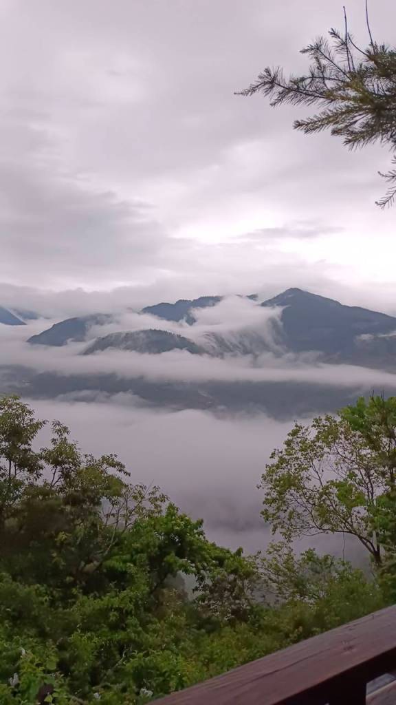 木木杉民宿環境照片 4