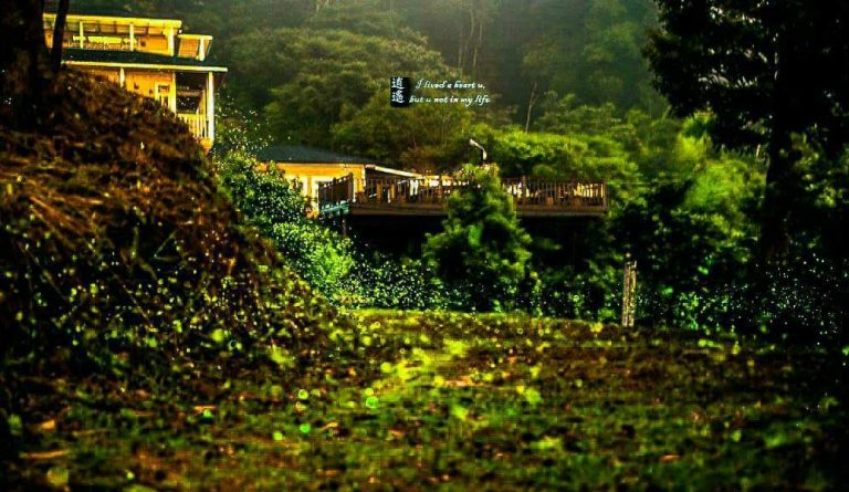萱草森林鄉村民宿
