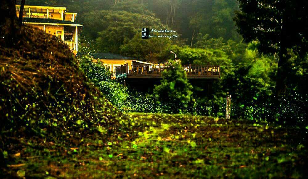 萱草森林鄉村民宿住宿環境