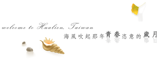 花蓮七星海飯店環境照片 4