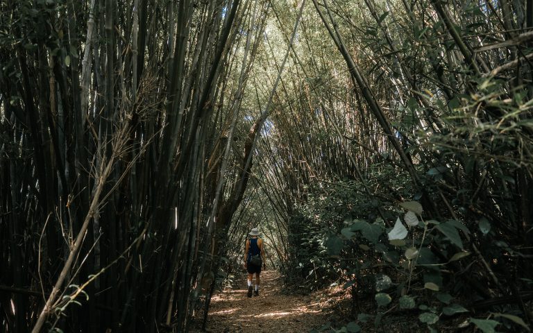 三段崎古道