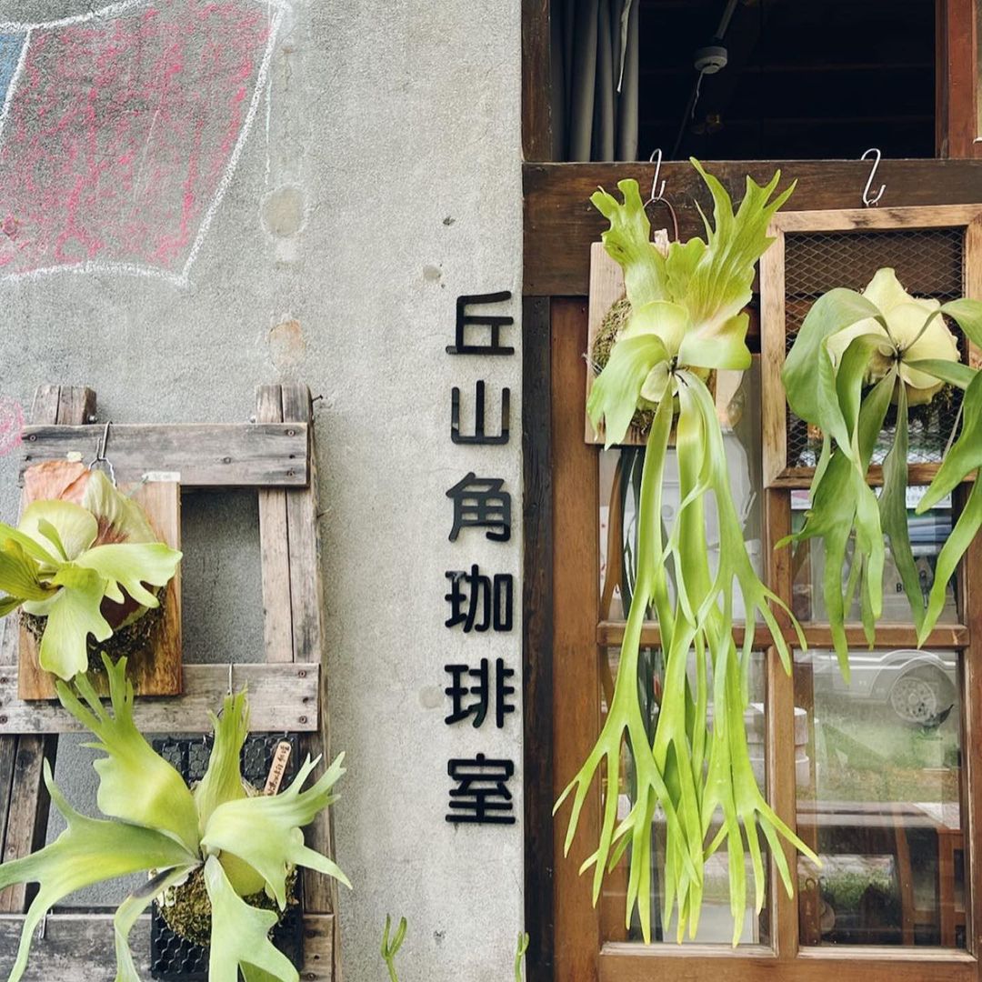丘山角珈琲室