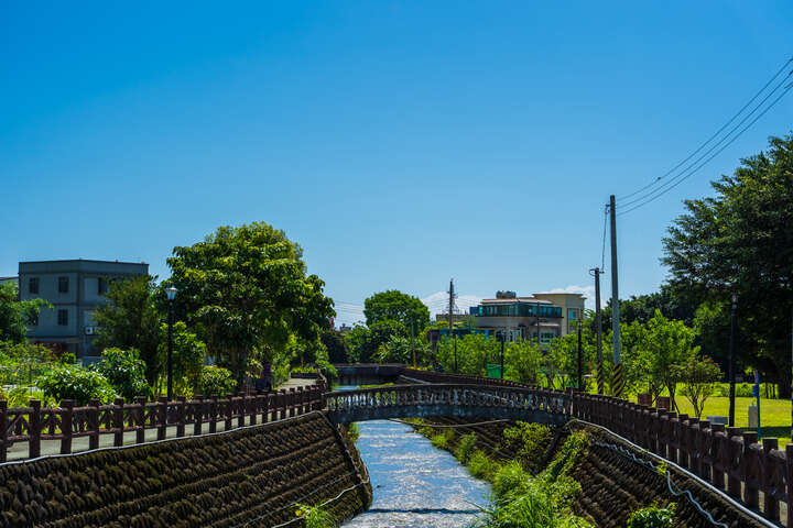 中園桐花步道