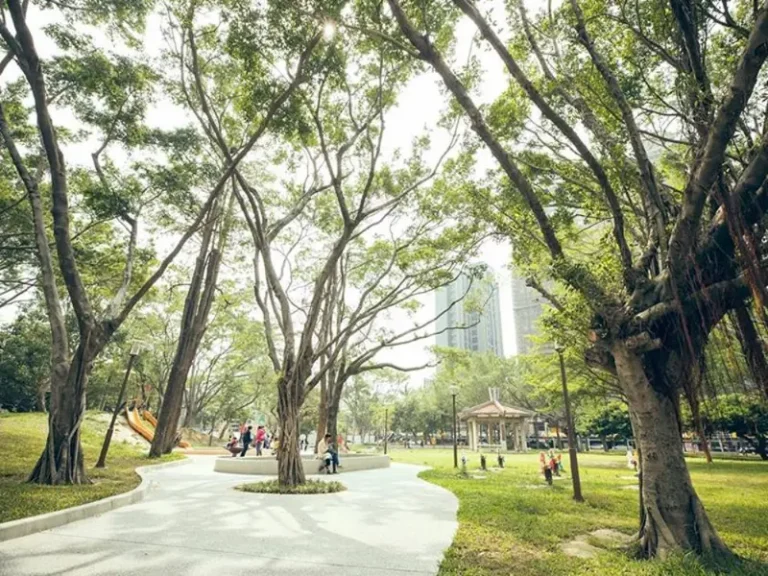 中央公園