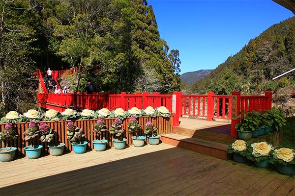 九八紅橋