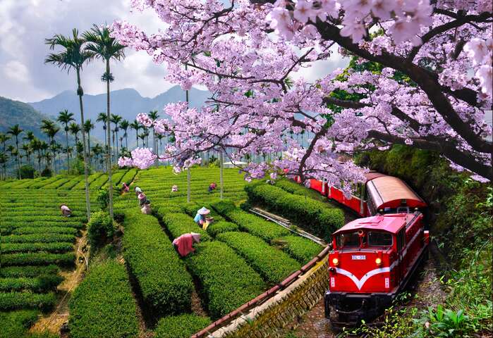 五奇之鐵道