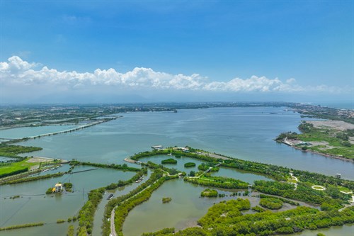 人工溼地公園