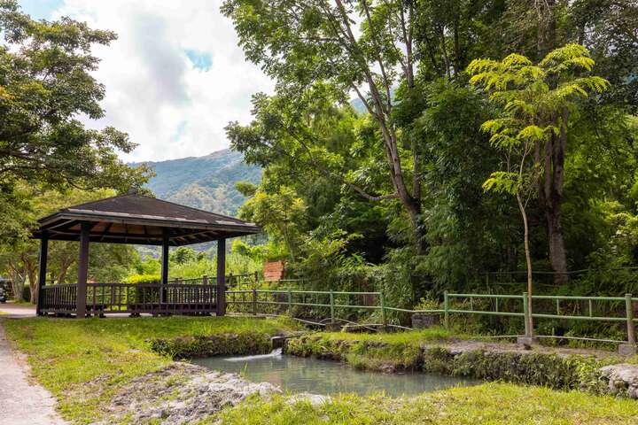 初英親水生態公園