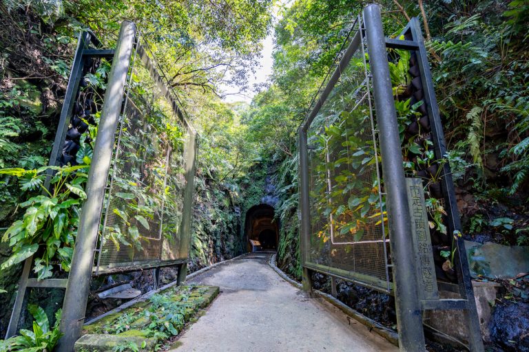 劉銘傳隧道(獅球嶺隧道)