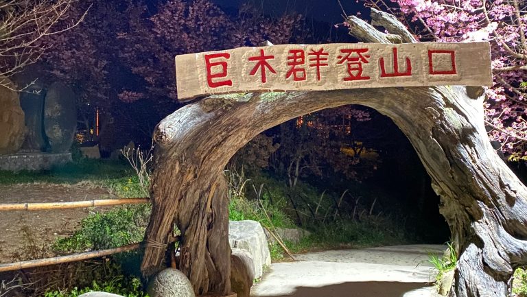 司馬庫斯巨木群步道