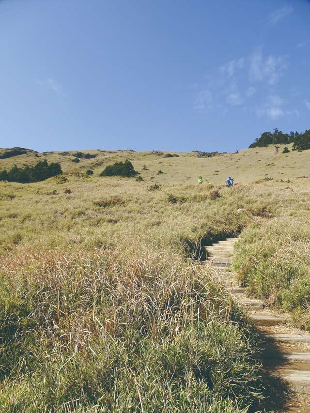 合歡山國家森林遊樂區