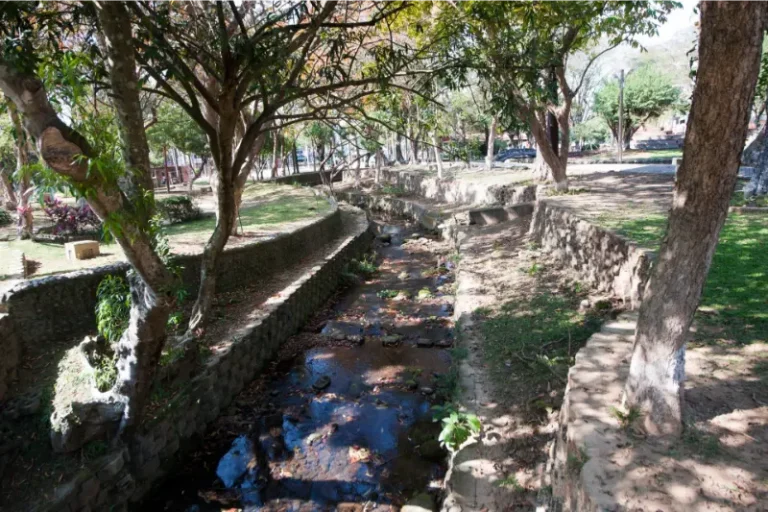 嘉義公園