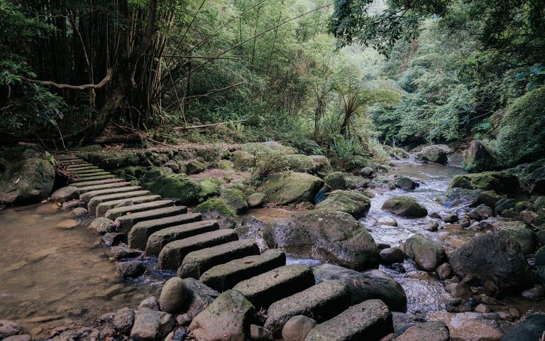 四寮溪生態步道