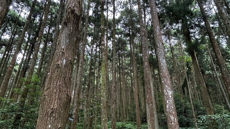 外鳥嘴山
