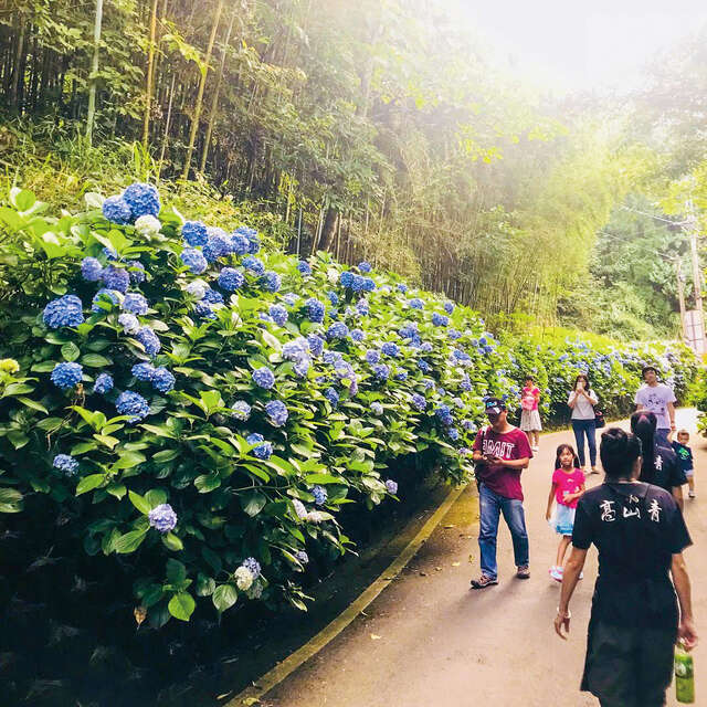 大湳部落