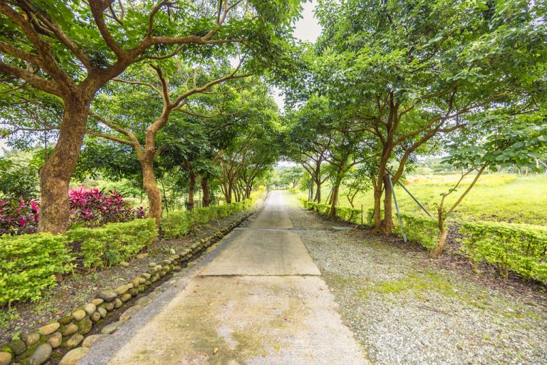 天外天復育公園