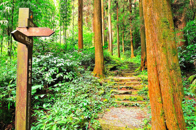 奮瑞古道