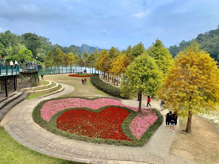 婚紗廣場/向山落羽松