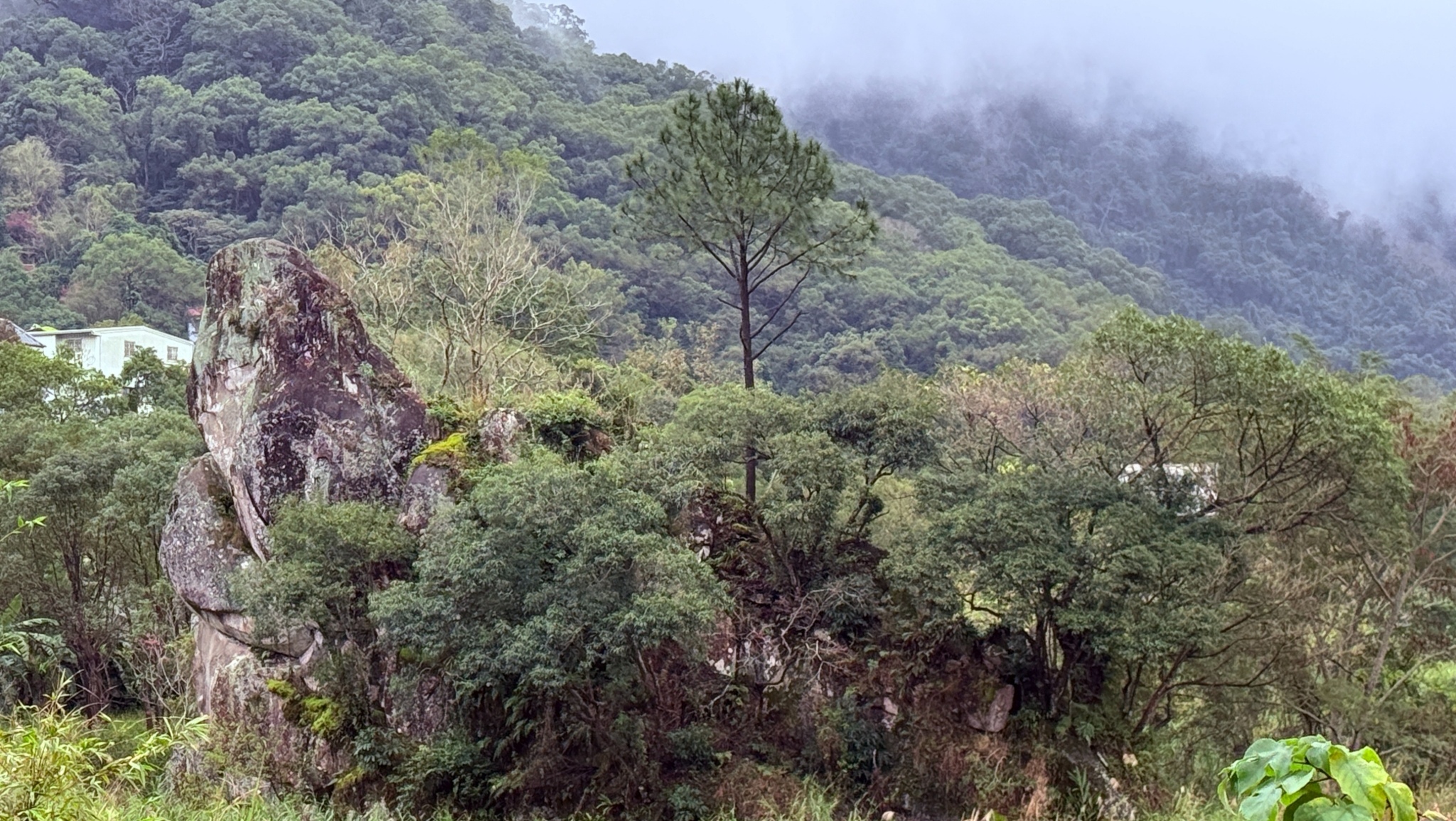尖石岩