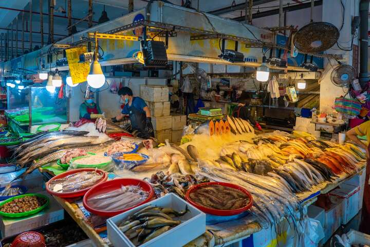 布袋漁港觀光魚市