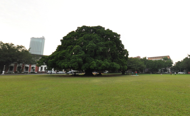 成大榕園