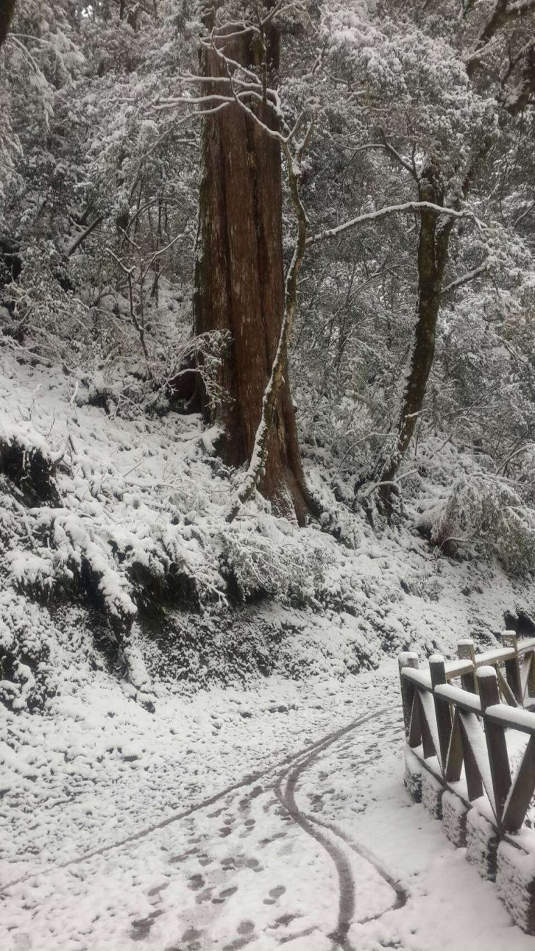 拉拉山國家森林遊樂區