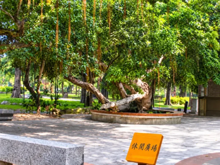 朴子藝術公園