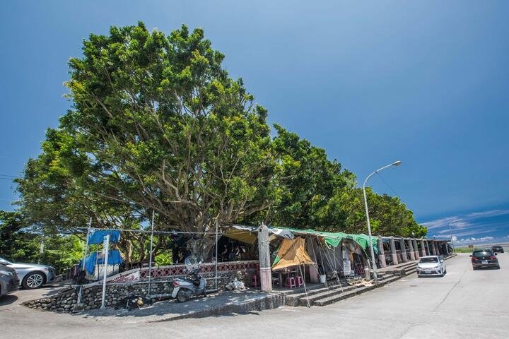 東港榕樹公園