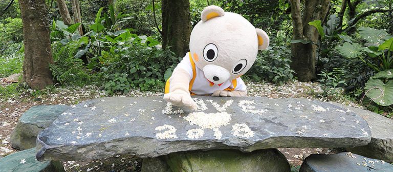 桐花公園