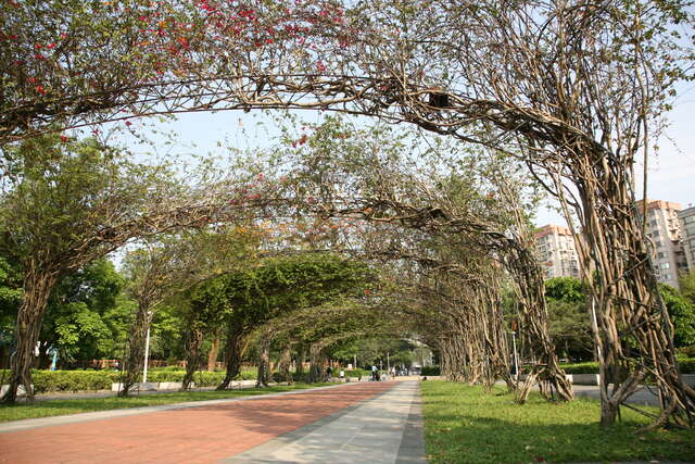 榮星花園公園
