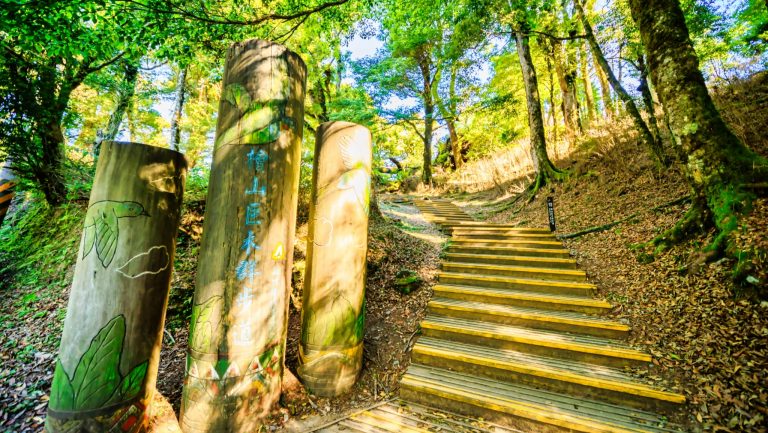 檜山巨木群步道