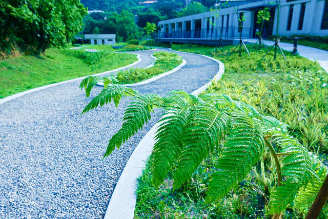 永春陂生態濕地公園