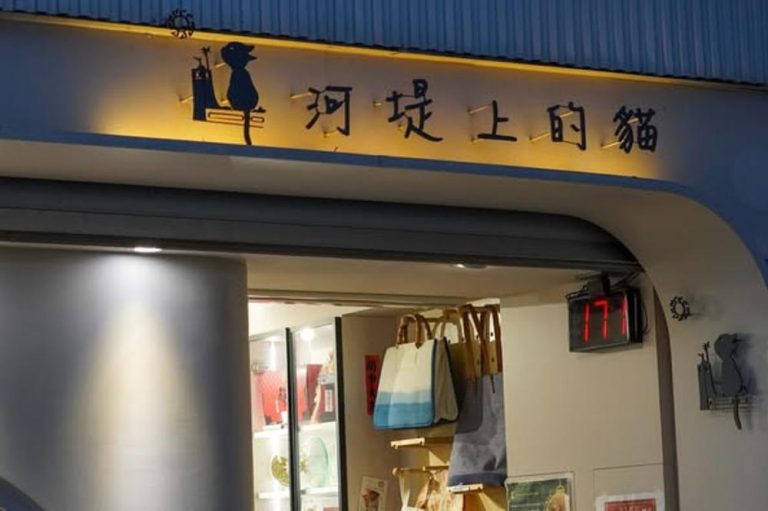 河堤上的貓