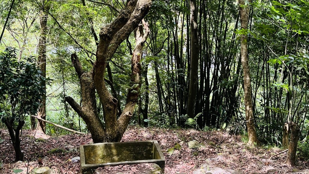 渡南古道