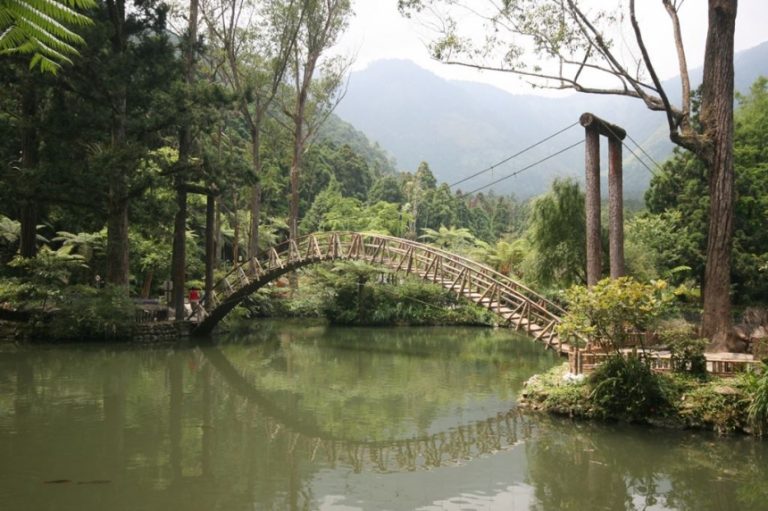 溪頭森林遊樂區