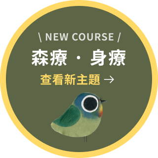 漫遊雲海與千年巨木之森：阿里山國家森林遊樂區深度探索指南