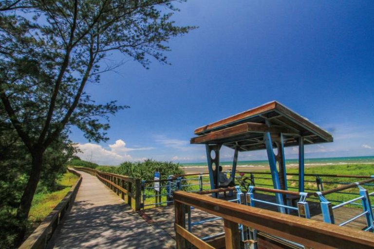 濱海森林公園