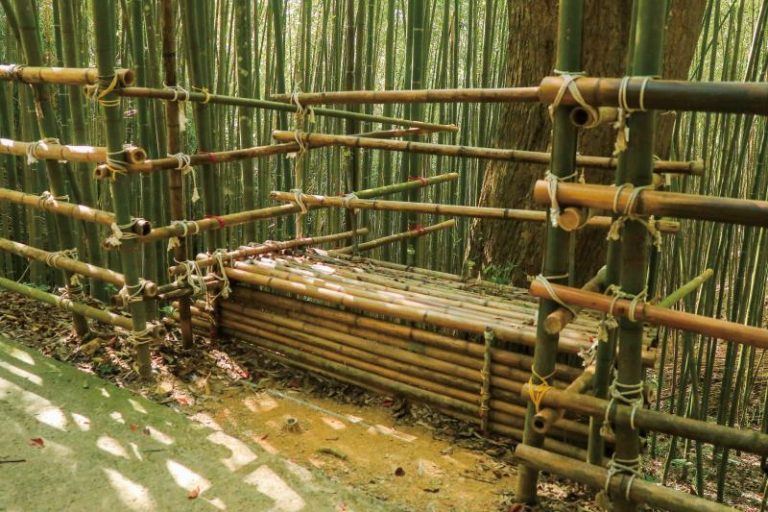 烏嘎彥竹林