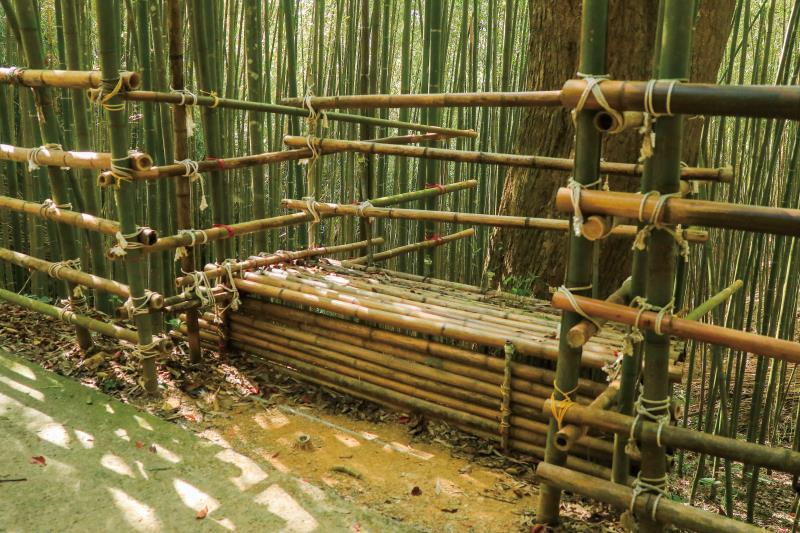 烏嘎彥竹林