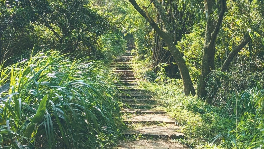 照門步道群–霽月步道