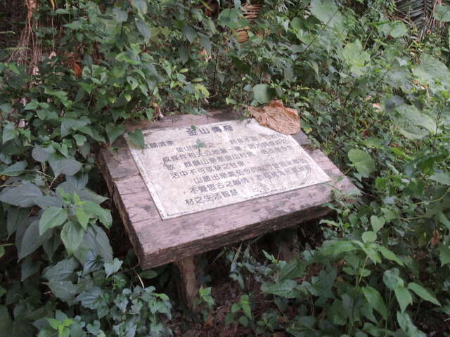 燕巢雞冠山