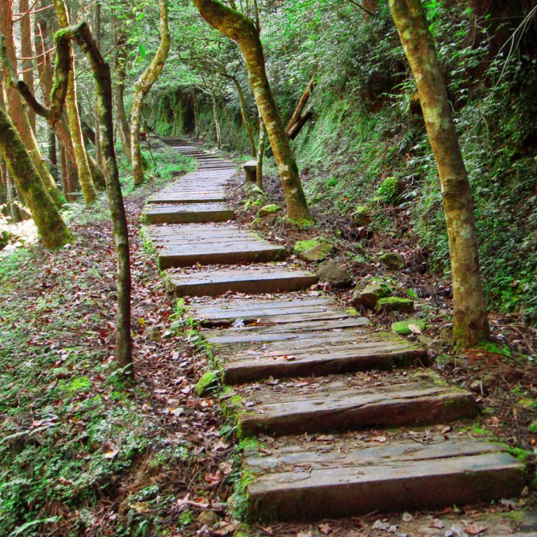 燕庵步道