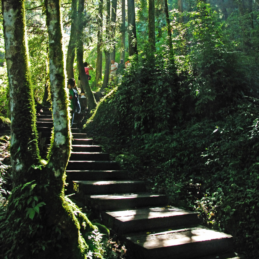 牽手小路