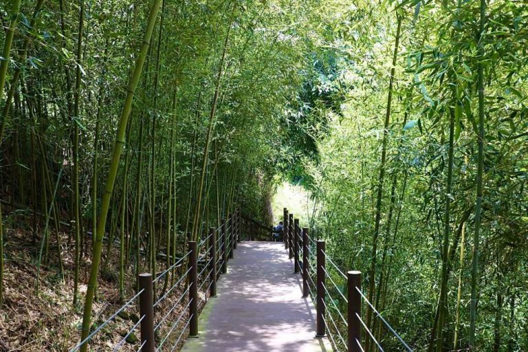 瑞龍瀑布園區