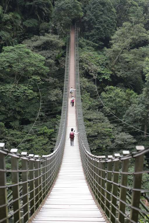 竹山天梯風景區(梯子吊橋)