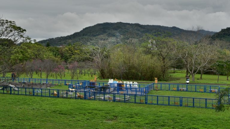 竹東寵物運動公園