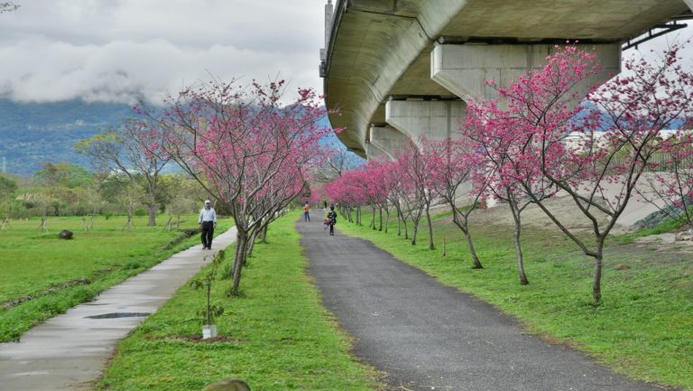 竹東生態河濱公園