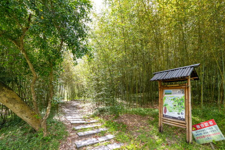 羅山竹林步道